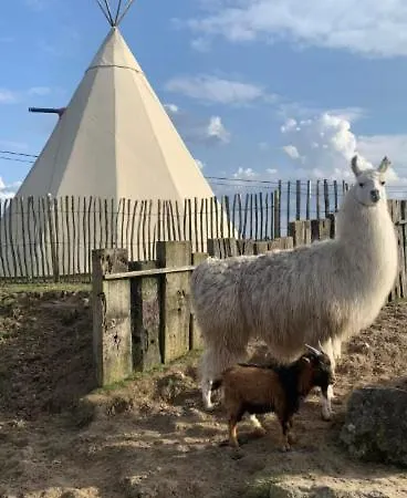Le Tipi D'adri