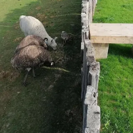 Le Tipi D'adri * Gesves