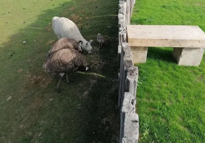 Le Tipi D'adri * Gesves